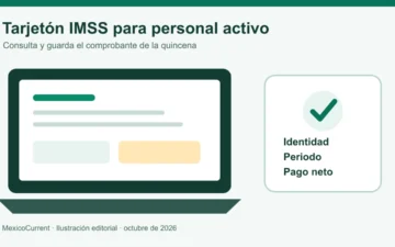 Tarjetón IMSS para trabajadores activos en una computadora