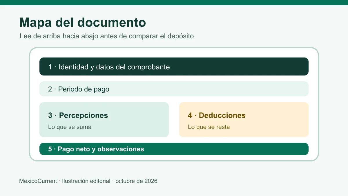 Cinco zonas para leer un Tarjetón IMSS